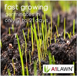A1 Lawn Winter Repair Grass Seed 5KG