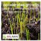 A1 Lawn New Grass Pre-Seed and Pre-Turf Fertiliser [6-9-6] - 10KG