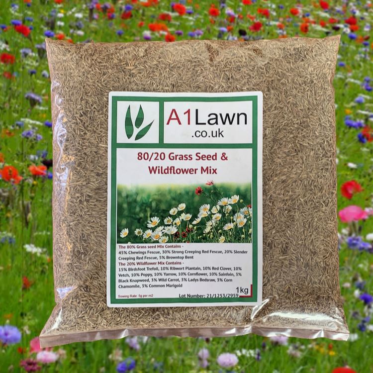 Dry Area Wildflower Seed Mix Bulk Flower Seed Mix Bulk