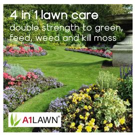 A1 Lawn Double Strength Feed, Weed & Moss Killer [10-2-2+8fe] - 10KG